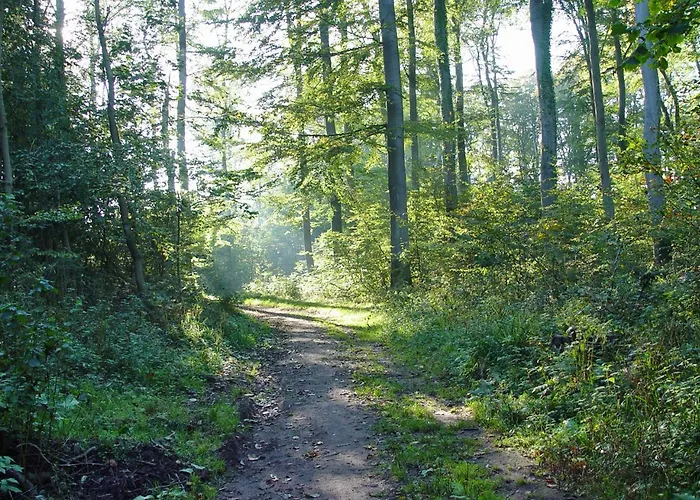 Waldhusen - Adults Only فندق Kücknitz